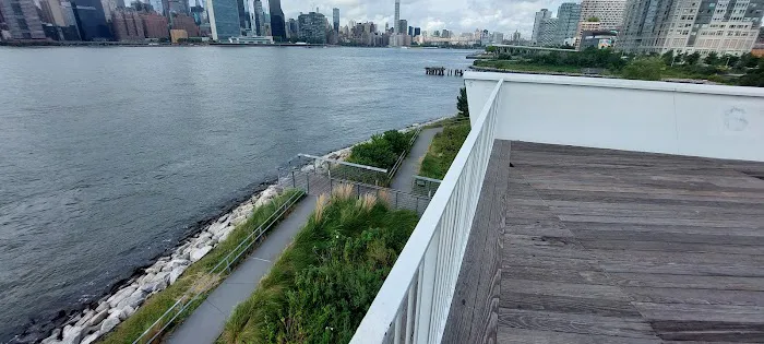 Hunter's Point South Park Observation Deck Picture 5