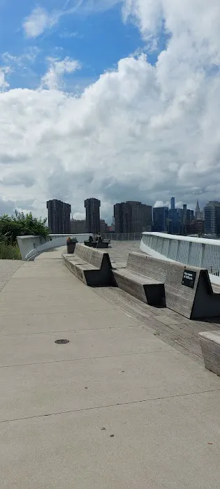 Hunter's Point South Park Observation Deck Picture 3