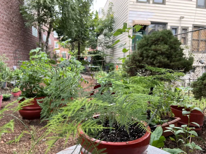 Long Island City Community Garden Picture 2
