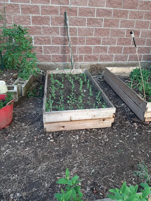 Long Island City Community Garden Picture 10