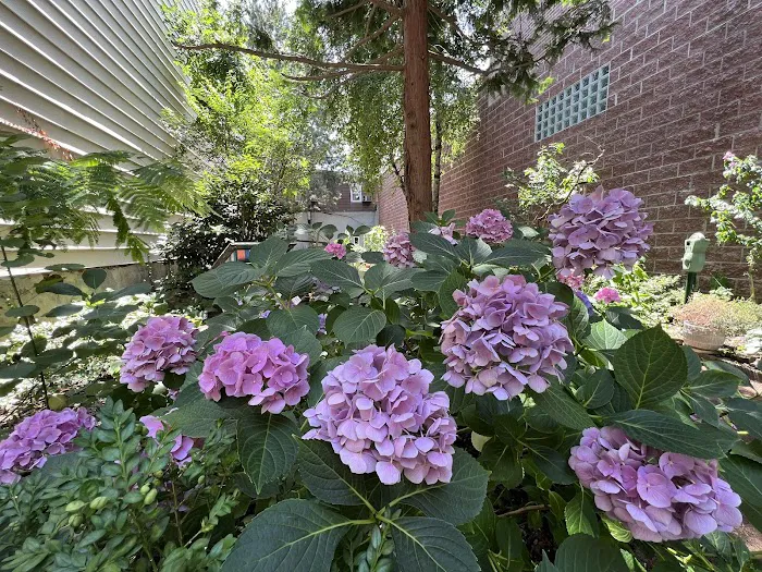 Long Island City Community Garden Picture 6