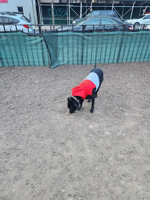 Murray Playground Dog Run Picture 8