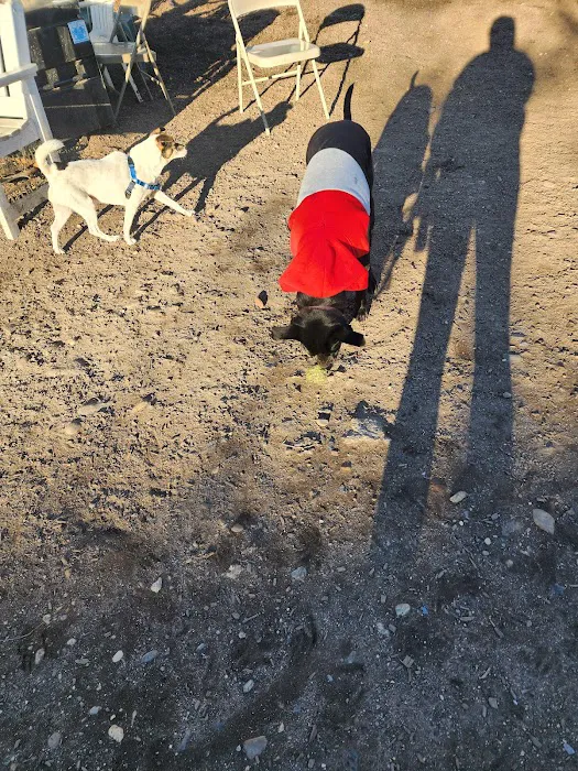 Murray Playground Dog Run Picture 5
