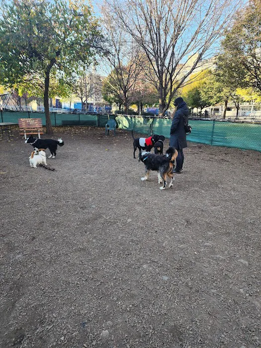 Murray Playground Dog Run Picture 7