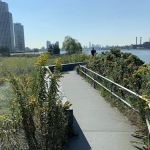 Hunter's Point South Park Extension