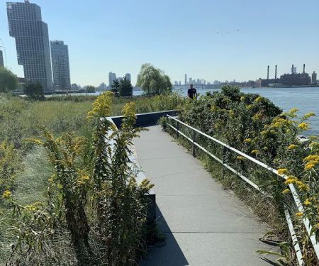 Hunter's Point South Park Extension