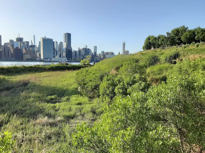 Hunter's Point South Park Extension Picture 10