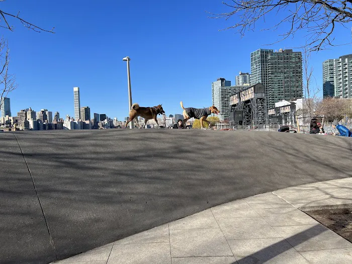 Hunter's Point South Dog Run Picture 5