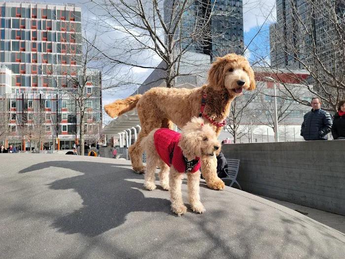 Hunter's Point South Dog Run Picture 2