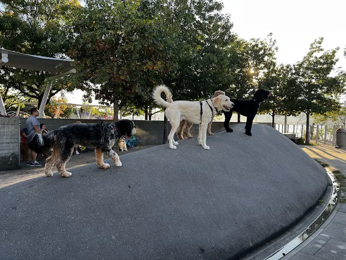 Hunter's Point South Dog Run Picture 9