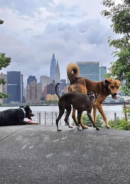 Gantry Big Dog Park Picture 3