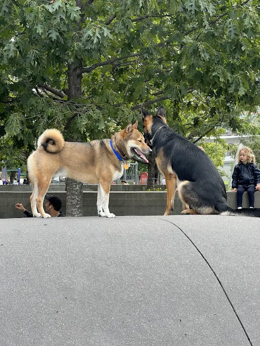 Gantry Big Dog Park Picture 4