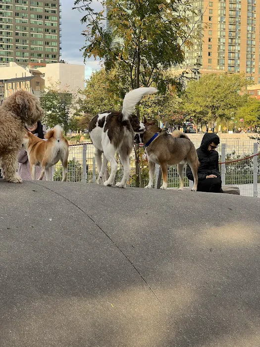 Gantry Big Dog Park Picture 5