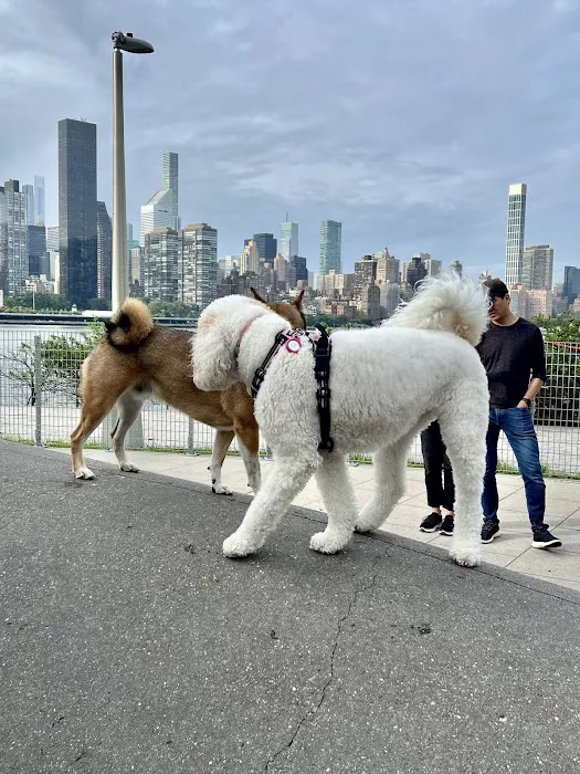 Gantry Big Dog Park Picture 10