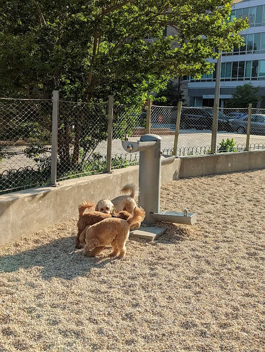 Dog Park Of Gantry Plaza State Park Picture 5
