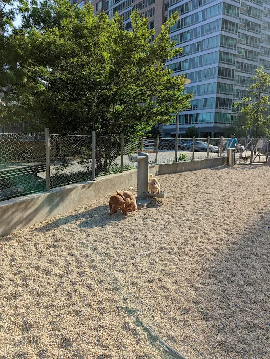 Dog Park Of Gantry Plaza State Park Picture 3