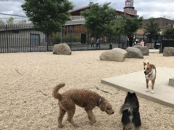 Marsha P. Johnson State Park Dog Run Picture 9