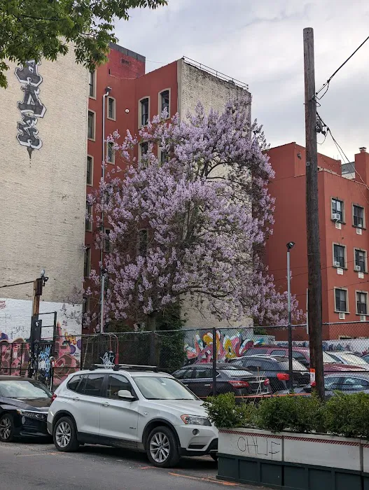 Sister Nicodema Plaza Picture 5