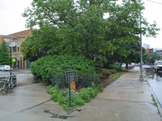 Ascenzi Square Picture 3