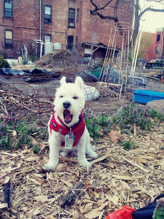 Hart to Hart Community Garden Picture 8