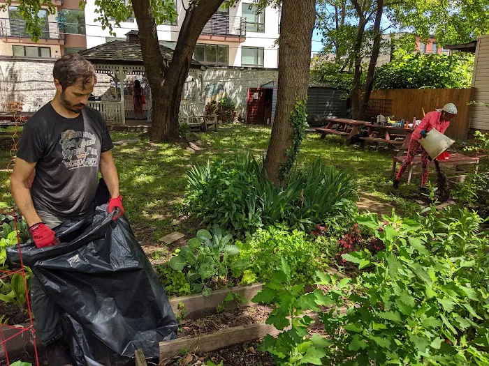 First Quincy Street Community Garden Picture 3