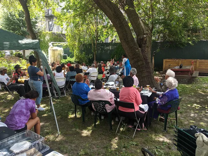 First Quincy Street Community Garden Picture 4