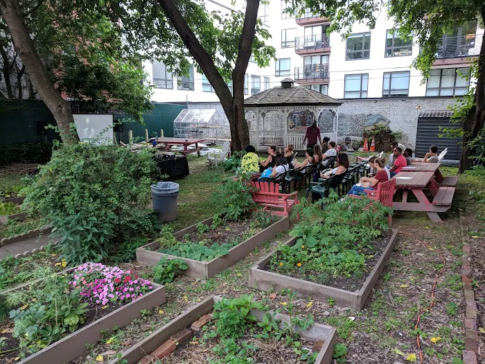 First Quincy Street Community Garden Picture 6