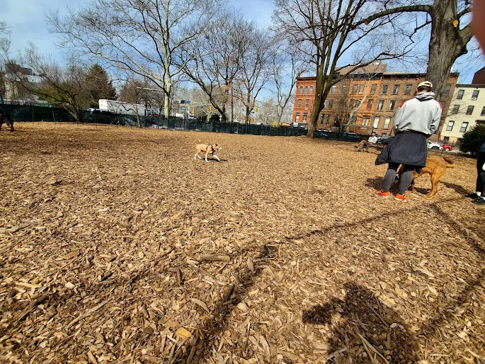 Herbert Von King Park Picture 10