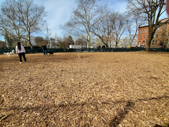 Herbert Von King Park Dog Run Picture 2