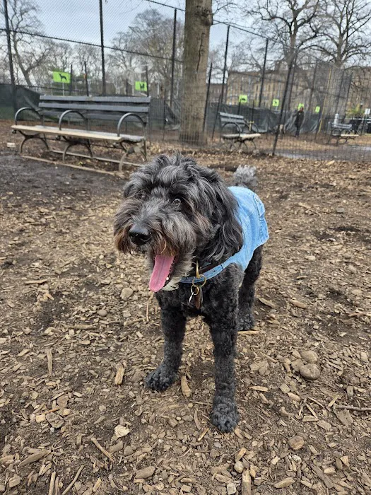 Herbert Von King Park Dog Run Picture 4