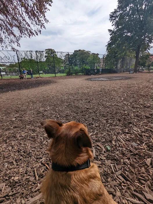 Herbert Von King Park Dog Run Picture 8