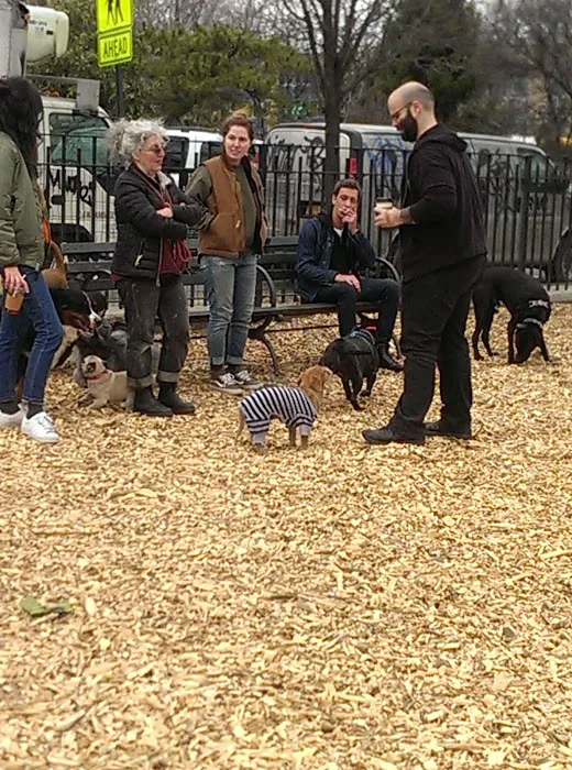 Herbert Von King Park Dog Run Picture 6