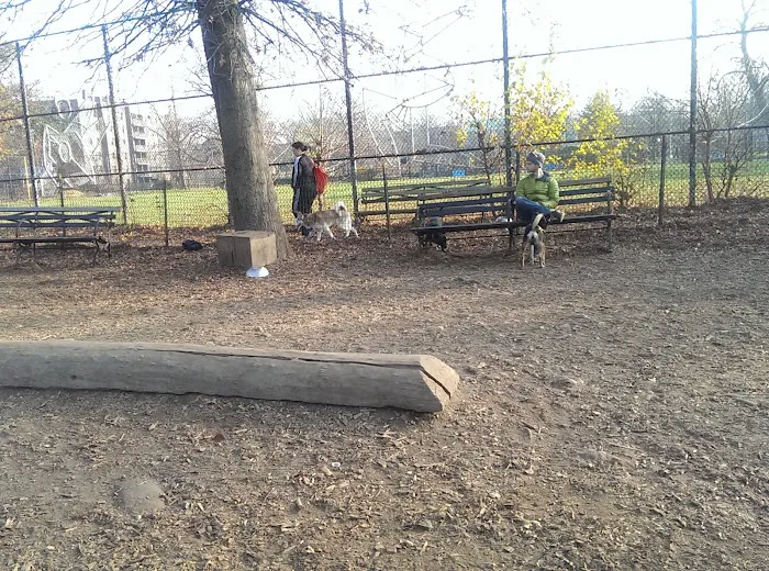 Herbert Von King Park Dog Run Picture 9