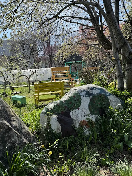 Hattie Carthan Community Garden Picture 7