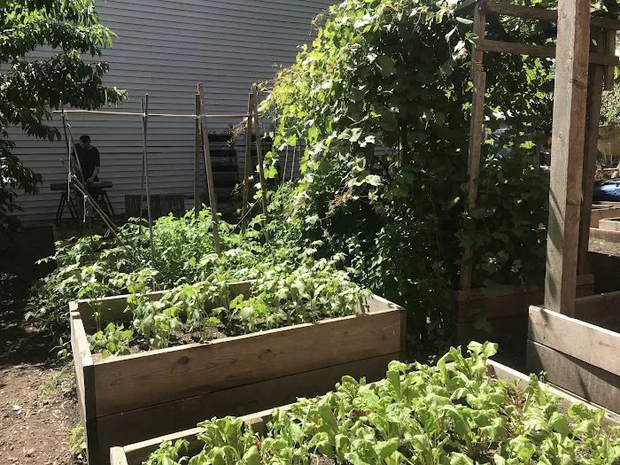 Shiloh Garden Picture 10