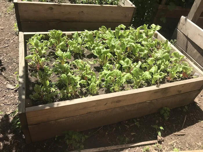 Shiloh Garden Picture 6