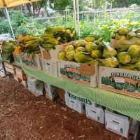462 Halsey Community Farm ico