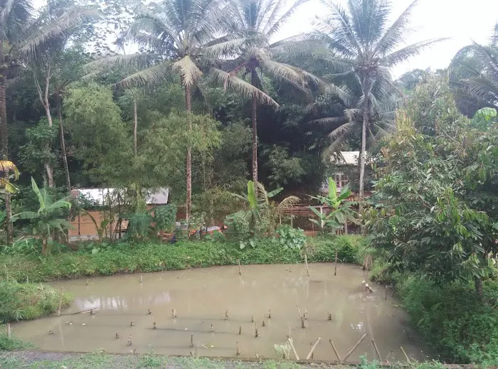 462 Halsey Community Farm Picture 6