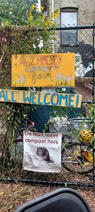462 Halsey Community Farm Picture 5