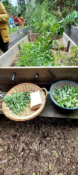 462 Halsey Community Farm Picture 3