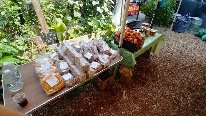 462 Halsey Community Farm Picture 4