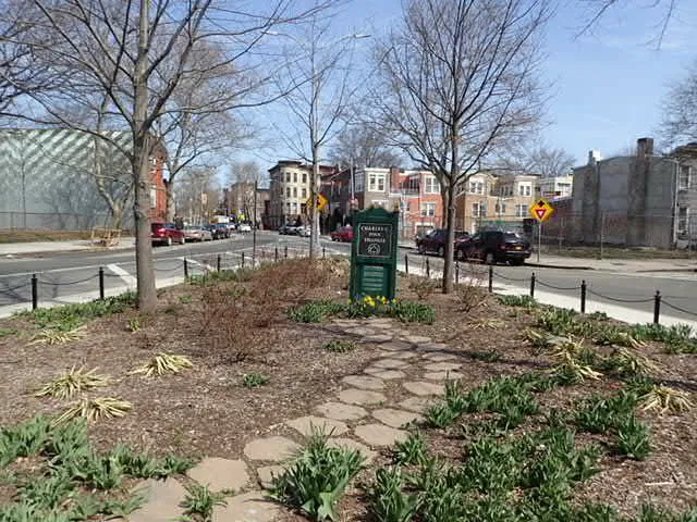 Charles C. Pinn Triangle Picture 2
