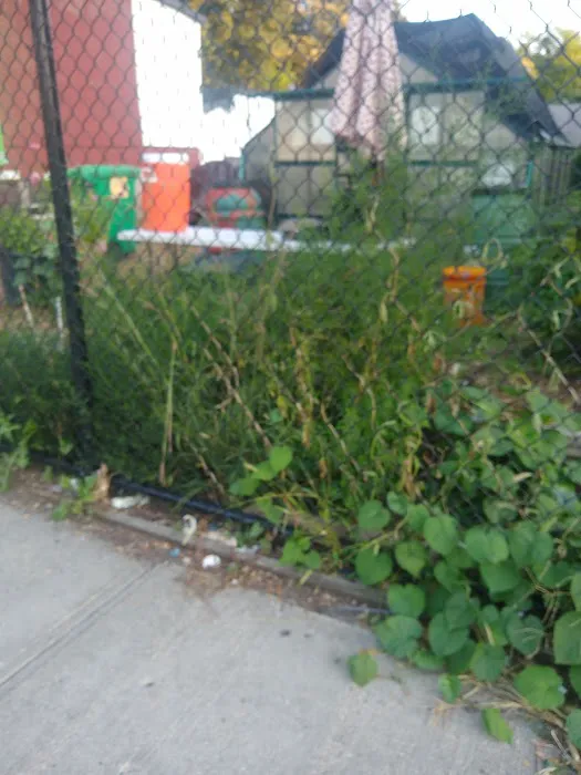 Imani Community Garden Picture 2