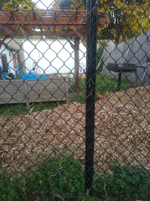 Imani Community Garden Picture 3
