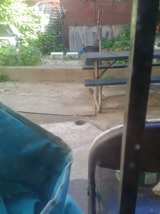 Harmony Park Picture 9