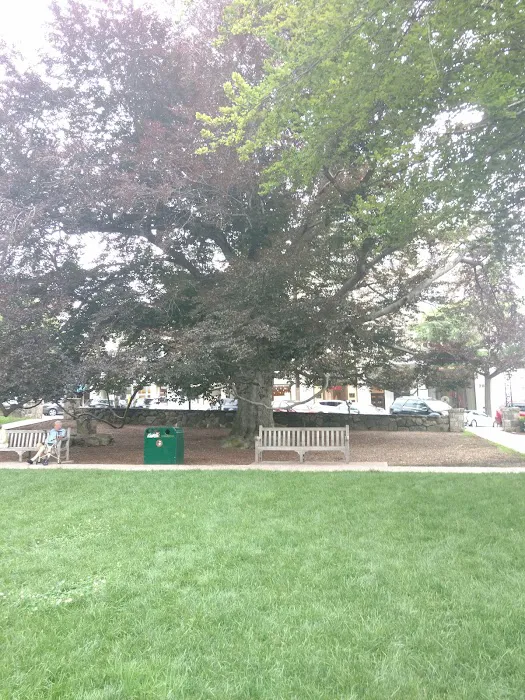 Havemeyer Fields Picture 2