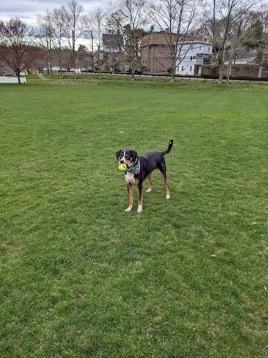 Western Greenwich Civic Center Park Picture 3