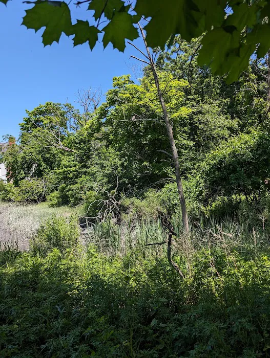 Oneida Sanctuary Picture 2