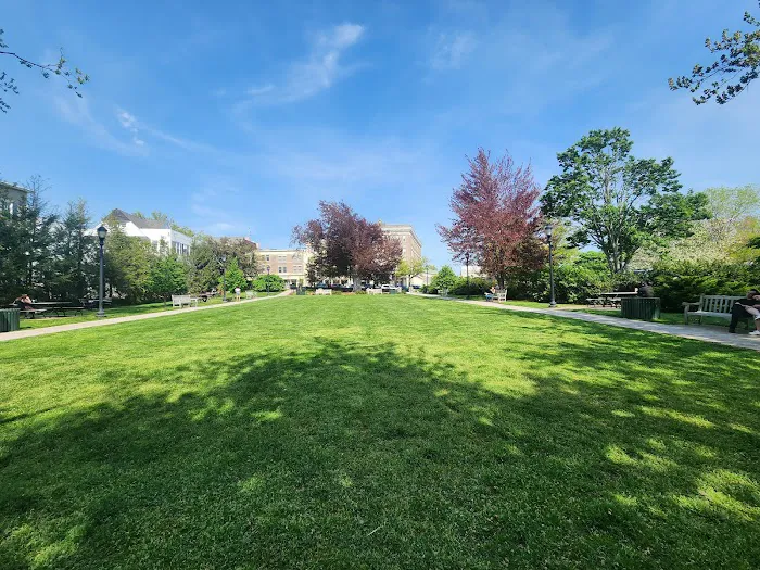 Greenwich Common Picture 2