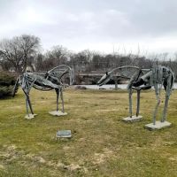 Bruce Park ico